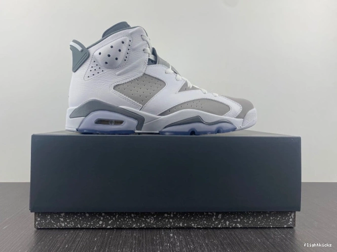 Grey Cool Jordan Air 6 CT8529-100 1213